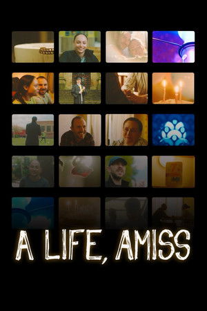 A Life, Amiss A Life, Amiss