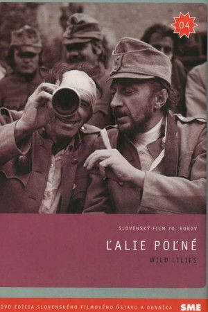 Field Lilies Field Lilies