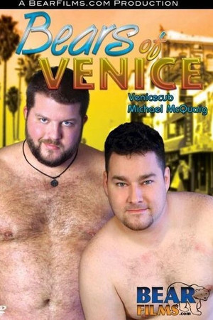Bears of Venice Bears of Venice