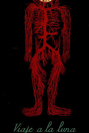 Viaje a la luna Viaje a la luna