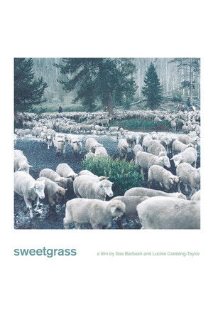 Sweetgrass Sweetgrass