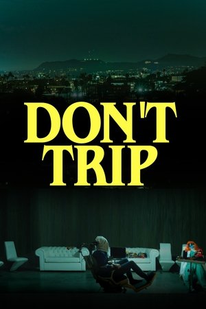Don't Trip Don't Trip