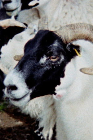 Passing Clouds Passing Clouds