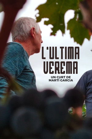 L'última verema