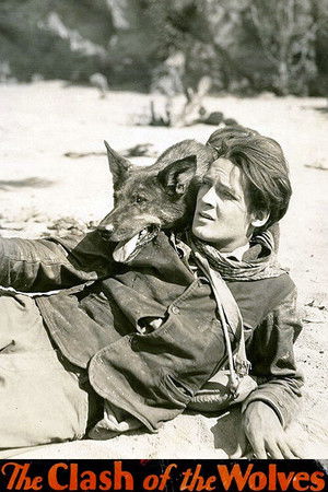 Clash of the Wolves Clash of the Wolves