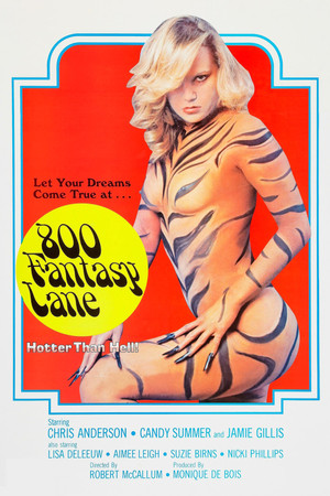800 Fantasy Lane 800 Fantasy Lane