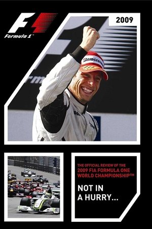 Not In A Hurry: The Official Review Of The 2009 FIA Formula One World Championship