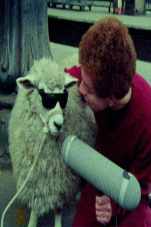 The Punk Kebab Documentary The Punk Kebab Documentary