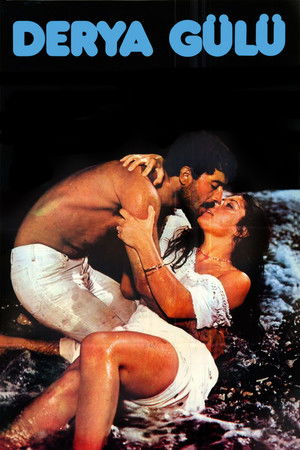 Derya Gülü Derya Gülü