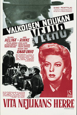 Valkoisen neilikan velho Valkoisen neilikan velho