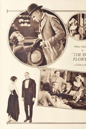 The Dust Flower The Dust Flower