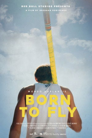 Born to Fly Born to Fly