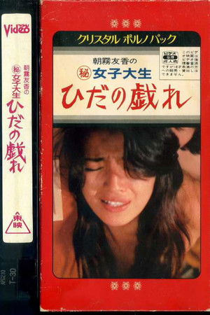 College Girl's Folds Play College Girl's Folds Play