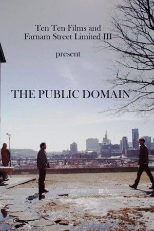 The Public Domain The Public Domain