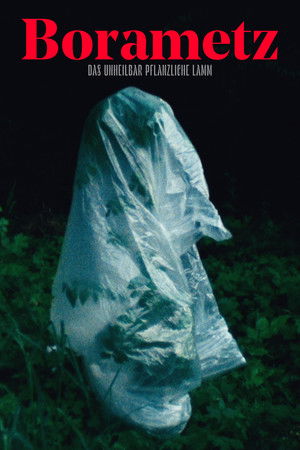 Borametz Borametz