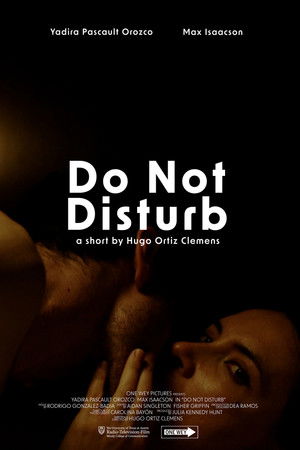 Do Not Disturb