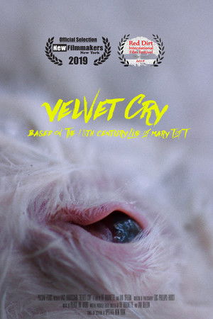 VELVET CRY VELVET CRY