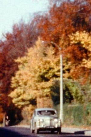 Splendour of the Heavens Splendour of the Heavens