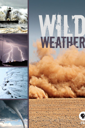 Wild Weather Wild Weather
