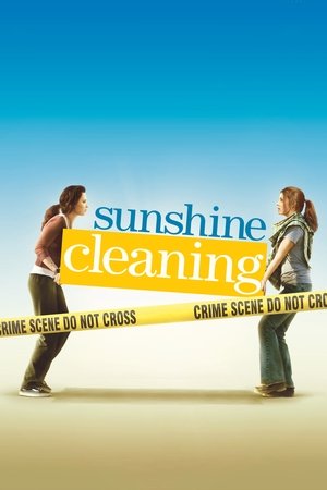 Sunshine Cleaning Sunshine Cleaning