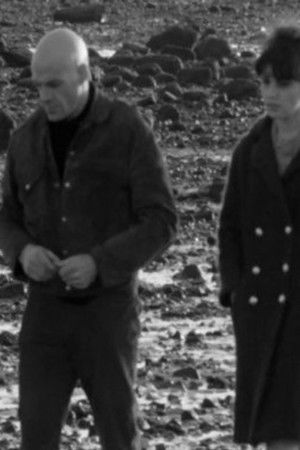 The Circle The Circle