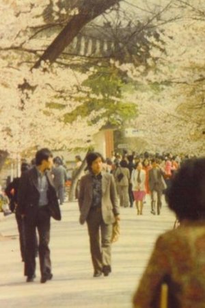 Azaleas Of My Hometown Azaleas Of My Hometown