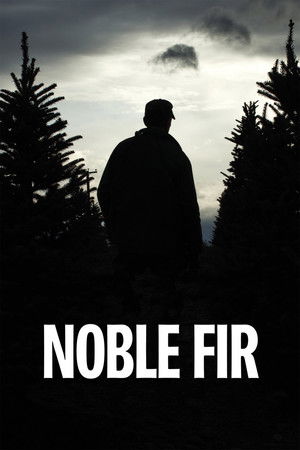 Noble Fir Noble Fir