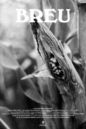Breu Breu