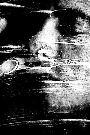 Losing the Light Losing the Light