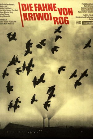 The Banner of Kryvyi Rih The Banner of Kryvyi Rih