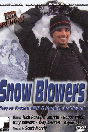 Snow Blowers