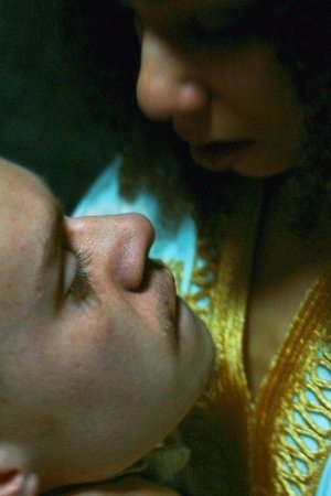 Bird of Paradise Bird of Paradise