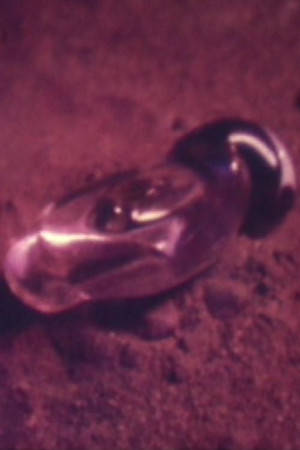 邂逅への幻想 邂逅への幻想