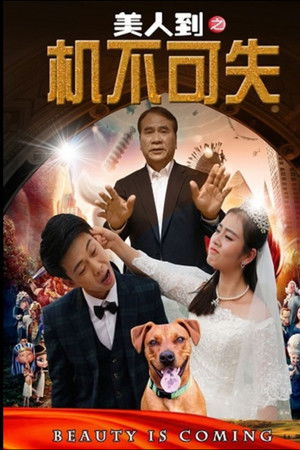 美人到之机不可失