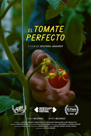 The Perfect Tomato The Perfect Tomato