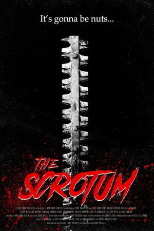 The Scrotum The Scrotum