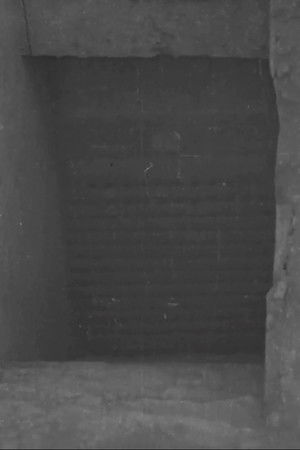 Tut-ankh Amen's Tomb (Daily Sketch Topical Budget 600-1) Tut-ankh Amen's Tomb (Daily Sketch Topical Budget 600-1)