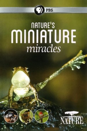 Nature's Miniature Miracles Nature's Miniature Miracles