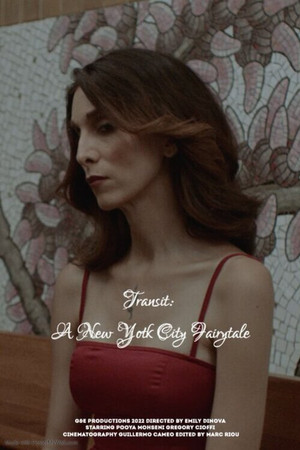 Transit: A New York City Fairytale