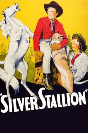 Silver Stallion