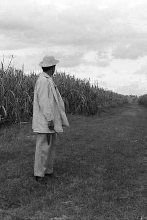 A Gavillero in the Sierra A Gavillero in the Sierra