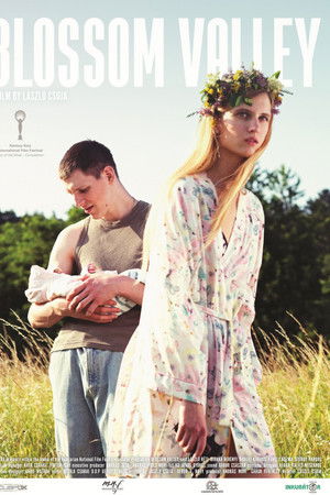 Blossom Valley Blossom Valley