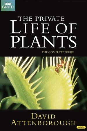 The Private Life of Plants The Private Life of Plants