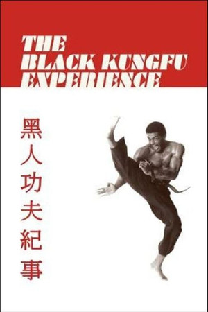 The Black Kung Fu Experience