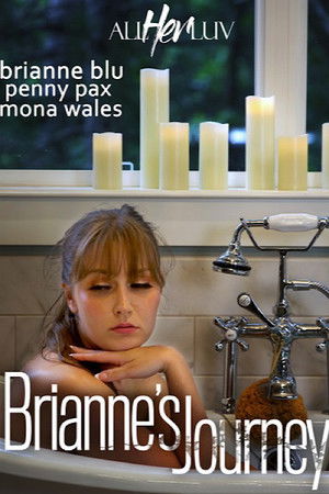 Brianne's Journey Brianne's Journey