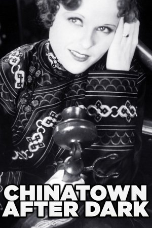 Chinatown After Dark Chinatown After Dark