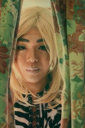 Give Us a Meow Give Us a Meow