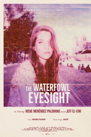 The Waterfowl Eyesight The Waterfowl Eyesight