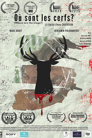 Où sont les Cerfs ? Où sont les Cerfs ?