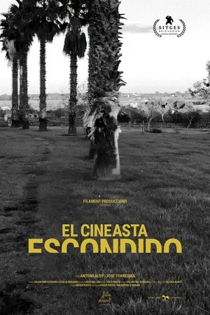 The Hidden Filmmaker The Hidden Filmmaker